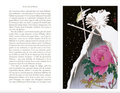 Sur les traces de Kitsune