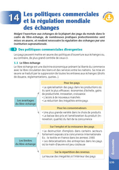 Guide - Droit et Économie - 1re/Tle STMG - Réflexe - 2024