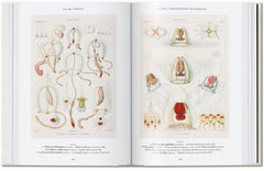 L’art et la science de Ernst Haeckel