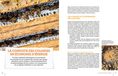 La ruche basse consommation d'énergie - Une révolution apicole
