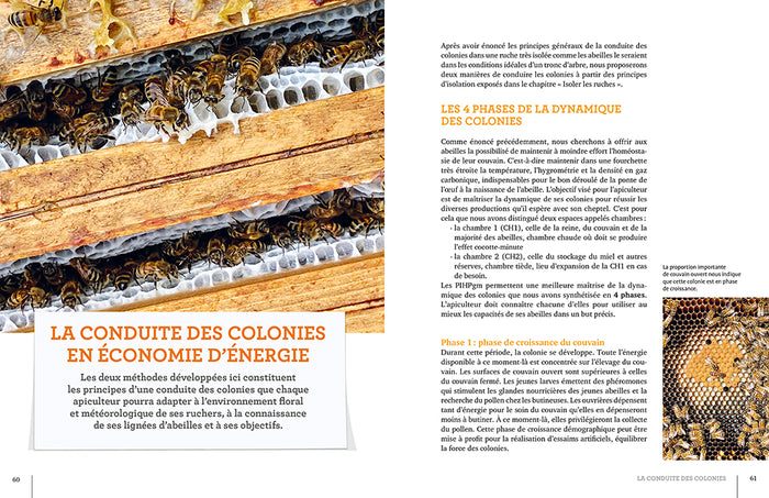 La ruche basse consommation d'énergie - Une révolution apicole