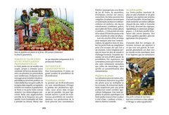 Créer une mini forêt-jardin