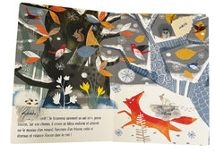 Petit flocon cherche un ami