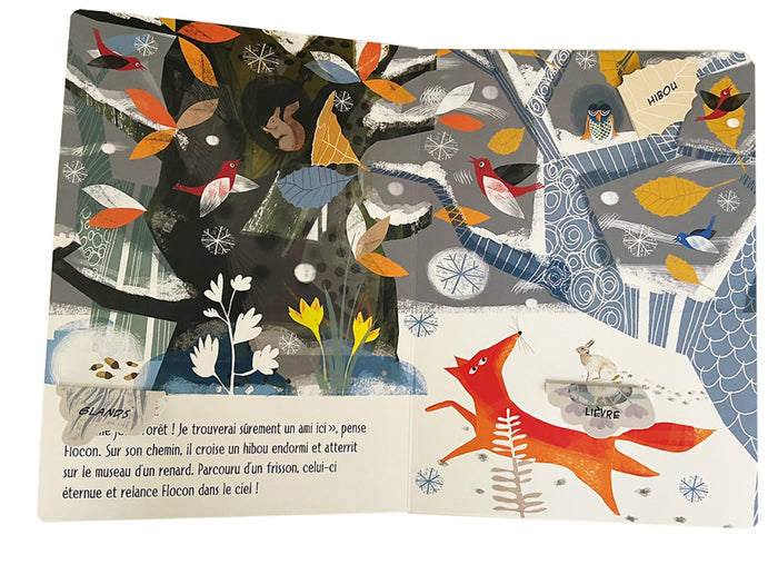 Petit flocon cherche un ami