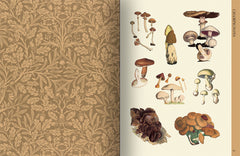 Art botanique pour réaliser de superbes collages