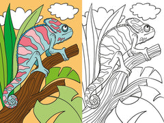 Les reptiles - Coloriage