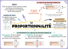 100 cartes mentales - Tout le programme de 5e