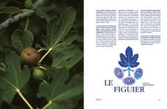 Recettes de la nature. Arpenter le paysage