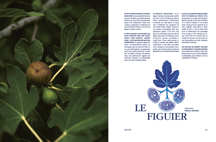 Recettes de la nature. Arpenter le paysage