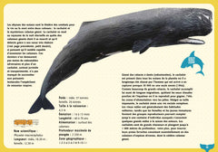 Guide des requins et baleines et autres géants de la mer