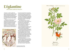 Les 100 plantes qui ont fait l'histoire