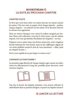 L'Hôtel du flocon suspendu - Bookstream