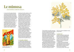 Les 100 plantes qui ont fait l'histoire