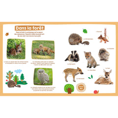 Mon imagier sonore - bébés animaux