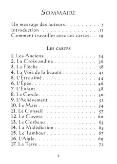 L'oracle pocket du chaman mystique