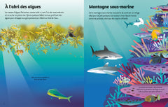 L'océan - Premiers autocollants