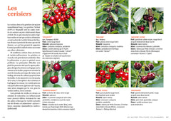 Fruitiers nains & colonnaires - Choisir et cultiver pommiers, poiriers, abricotiers, pruniers... 140 variétés pour balcons et petits jardins