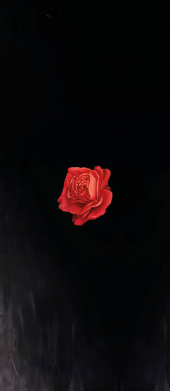 L'Antre des Vipères