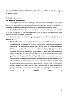 Biologie et écologie de l'Artemia