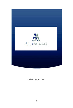Rapport sur le Droit du numérique et les nouvelles technologies