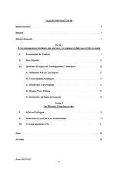 Rapport sur le Droit du numérique et les nouvelles technologies