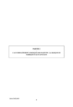 Rapport sur le Droit du numérique et les nouvelles technologies