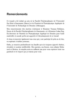 Murs de domaines, surfaces et interfaces ferroélectriques