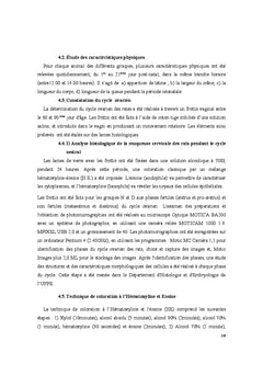 Cycle ovarien: repercussion de la malnutrition et de la biomecanique