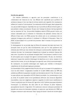 La Depollution Des eaux Par Procedes Photocatalytiques