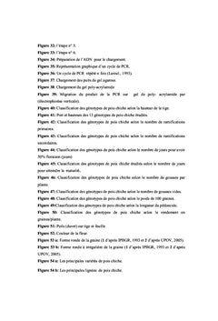 Le Germoplasme Local de pois chiche (Cicer arietinum L)