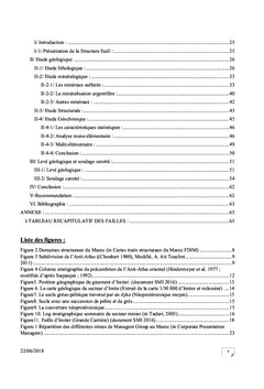 Etude geologique, mineralogique et geochimique