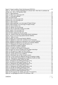 Etude geologique, mineralogique et geochimique