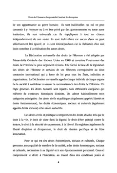Droits de l'Homme et Responsabilite Societale des Entreprises