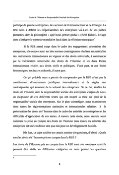 Droits de l'Homme et Responsabilite Societale des Entreprises