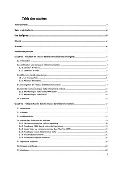 Contrôle et tarification du trafic international entrant