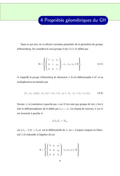 Géométrie sous riemannienne sur le groupe d'Heisenberg
