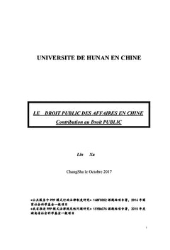 Le Droit Public Des Affaires en Chine