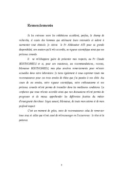 Structure stratégies risques et efficience bancaire: cas de la tunisie