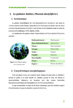 Evaluation de l'impact de la qualité des eaux d'irrigation sur le palmier dattier pheonix