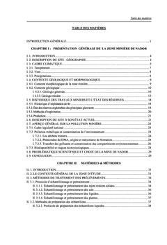 L'Impact du Drainage Minier Acide sur l'Environnement de Nador (Maroc)