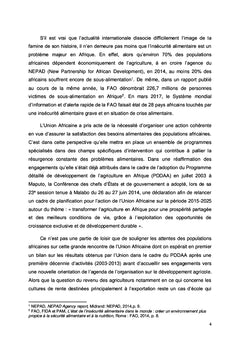 Le programme de développement agricole de l'Union Africaine