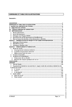 Modes d'organisation collective des acteurs dans le Sud du Mali