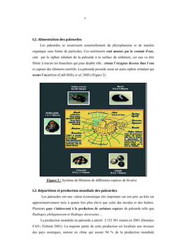 Amélioration de purification des palourdes