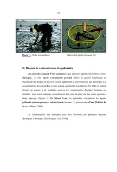 Amélioration de purification des palourdes