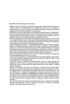 Etude de la régulation de l'expression des gènes par les ARN antisens