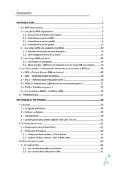 Etude de la régulation de l'expression des gènes par les ARN antisens