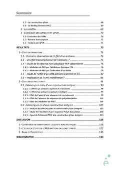 Etude de la régulation de l'expression des gènes par les ARN antisens