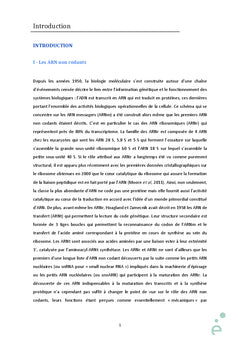 Etude de la régulation de l'expression des gènes par les ARN antisens
