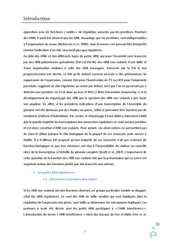 Etude de la régulation de l'expression des gènes par les ARN antisens