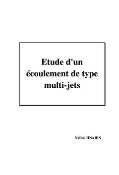 Etude d'un écoulement de type multi-jets